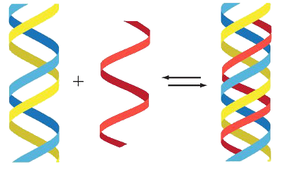 Fiktives DNA-Konzept einer Dreifachhelix